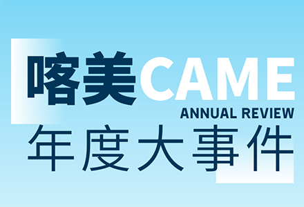 喀美年度复盘揭示了什么